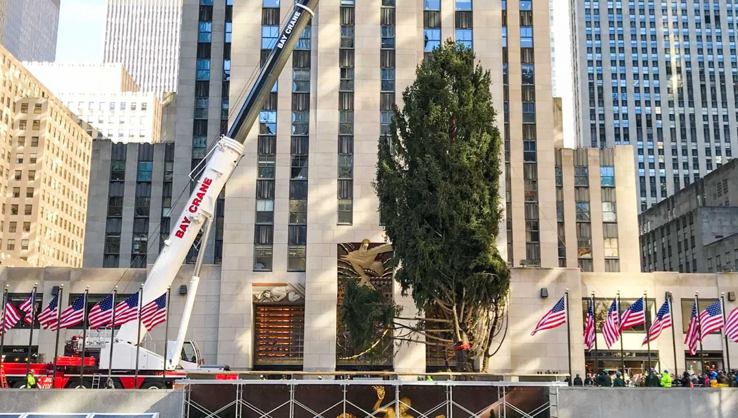 Crane lifting Christmas Tree in Rockefeller Center