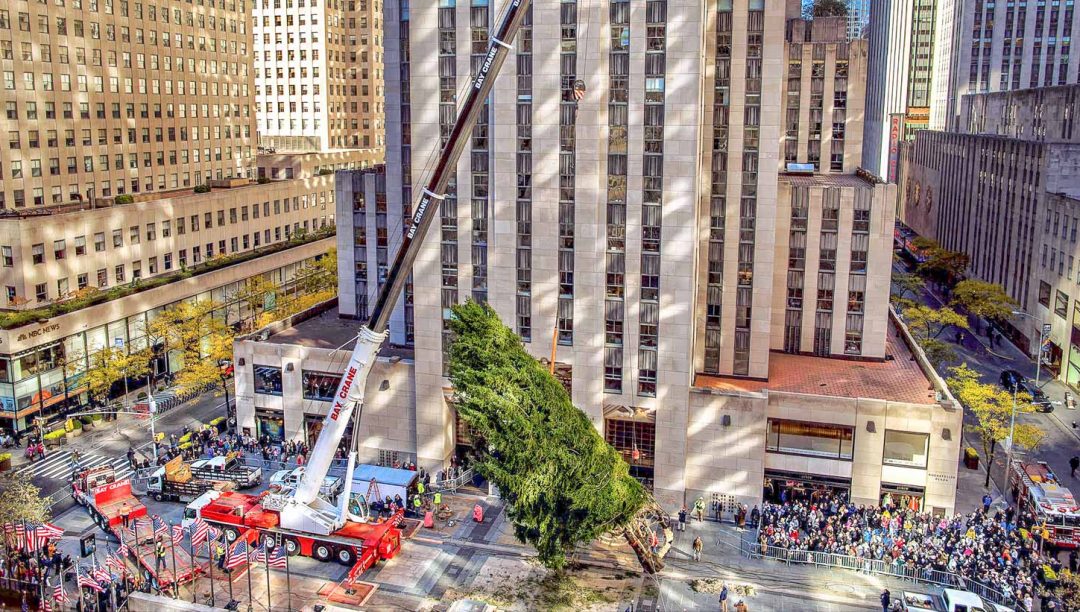 Crane lifting Christmas Tree in Rockefeller Center