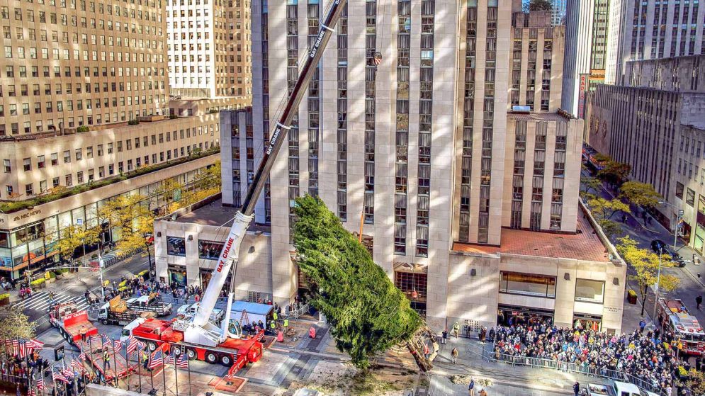 Crane lifting Christmas Tree in Rockefeller Center